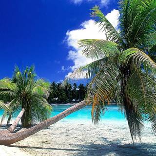 Tahiti French Polynesia wallpaper