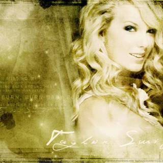 Taylor Swift Picture To Burn wallpaper