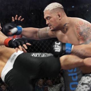 EA Sports UFC 4 wallpaper
