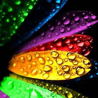 Android HD mobile wallpaper