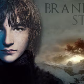 Brandon Stark wallpaper