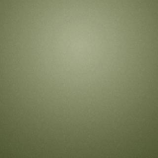 Olive green wallpaper