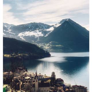 Nature phone wallpaper