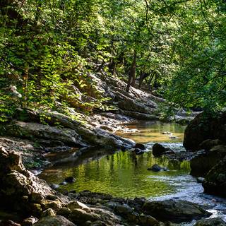 Nature phone wallpaper