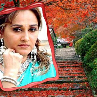 Jaya Prada wallpaper