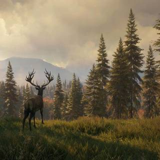 TheHunter: Call Of The Wild game wallpaper