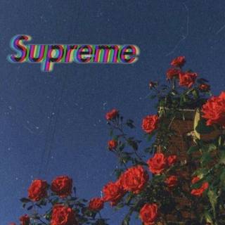 Tumblr Supreme wallpaper