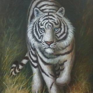 Macan Putih Siliwangi wallpaper