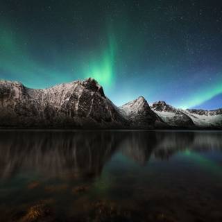Northern light wallpaper