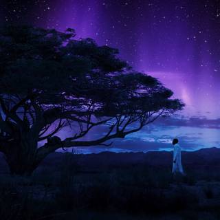 Chadwick Boseman Black Panther HD wallpaper