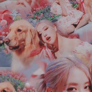 Blackpink Ice Cream wallpaper