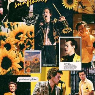 Aesthetic Harry Styles wallpaper