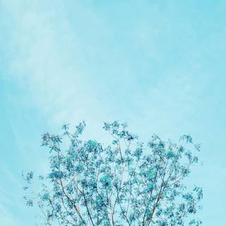 Minimalist blue wallpaper