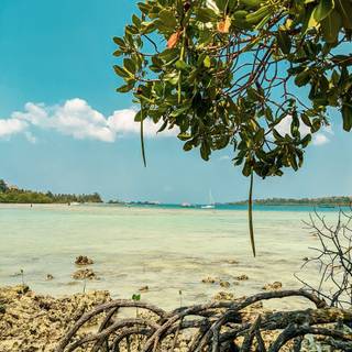 Andaman and Nicobar Islands HD wallpaper