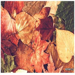 Autumn aesthetics wallpaper