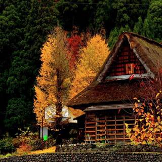 Autumn houses wallpaper