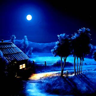 Night nature wallpaper