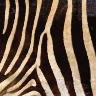 Animal skin wallpaper