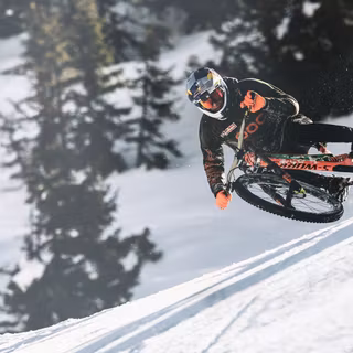 Fabio Wibmer wallpaper