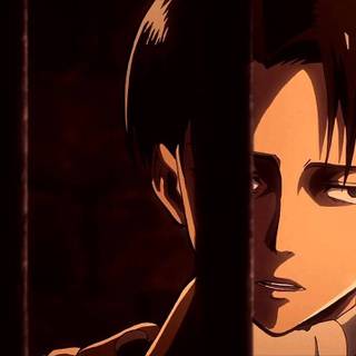 Ereri desktop wallpaper