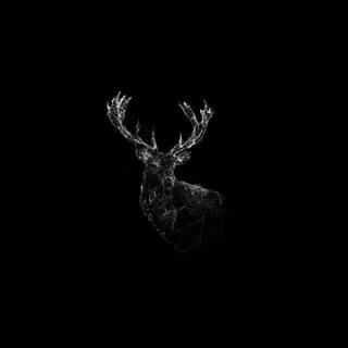 Beauty in black wallpaper