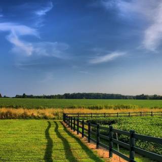 Farmland wallpaper