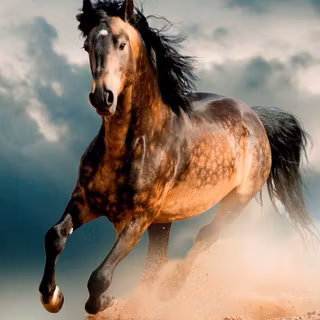 Horse Mustang wallpaper