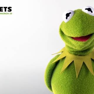 Kermit meme wallpaper