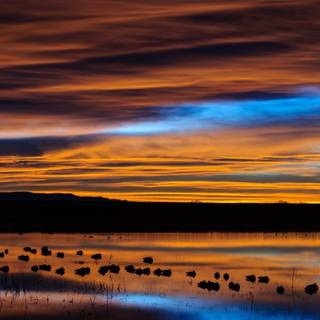 New Mexico Sunset wallpaper