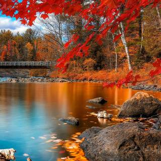 Autumn Android wallpaper