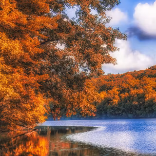 Autumn ultrawide wallpaper