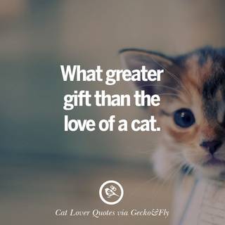 Cat lovers wallpaper