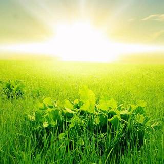 Sun rising wallpaper