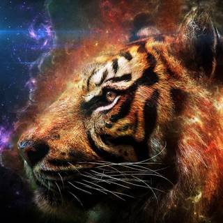 Tiger 3D wallpaper