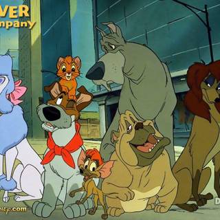 Oliver and Company wallpaper