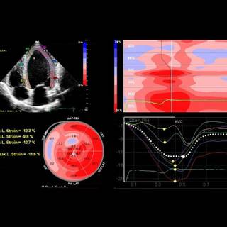 Cardiology wallpaper