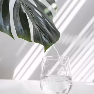 Drinking water wallpaper