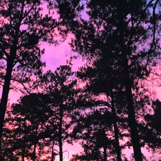 Girly weed pics wallpaper