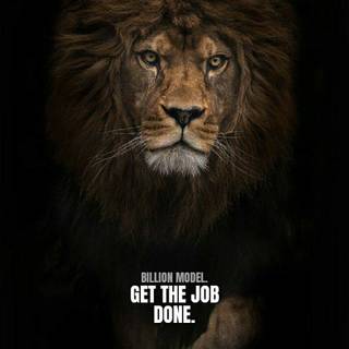 Lion phone wallpaper