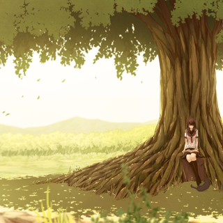 Giant tree wallpaper