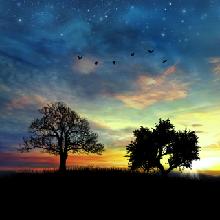 Day and night wallpaper