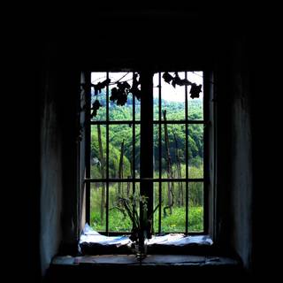 Old windows wallpaper