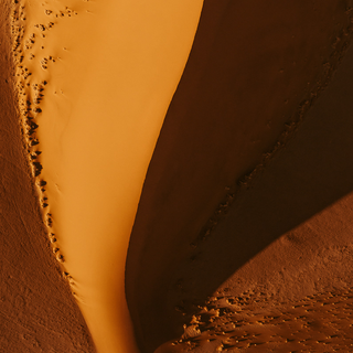 Dune 2020 wallpaper