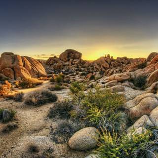 Joshua Tree National Park California wallpaper