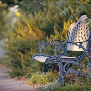 Garden chair wallpaper