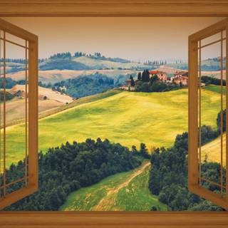 Window view wallpaper