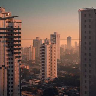 Window view wallpaper