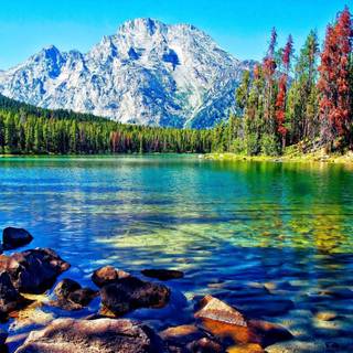 Prettiest desktop wallpaper