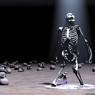 Skull king wallpaper