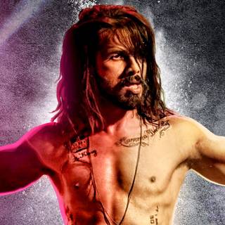 Udta Punjab wallpaper